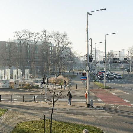 Rentplanet - Studio Dyrekcyjna 弗罗茨瓦夫 外观 照片